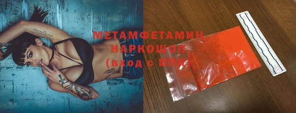индика Гусь-Хрустальный