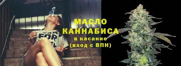 индика Гусь-Хрустальный