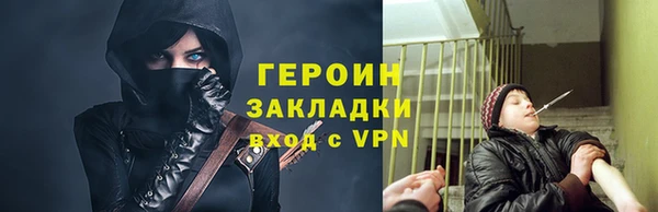 индика Гусь-Хрустальный