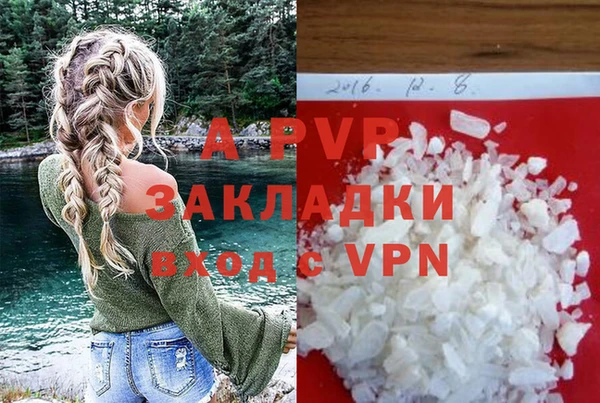 индика Гусь-Хрустальный