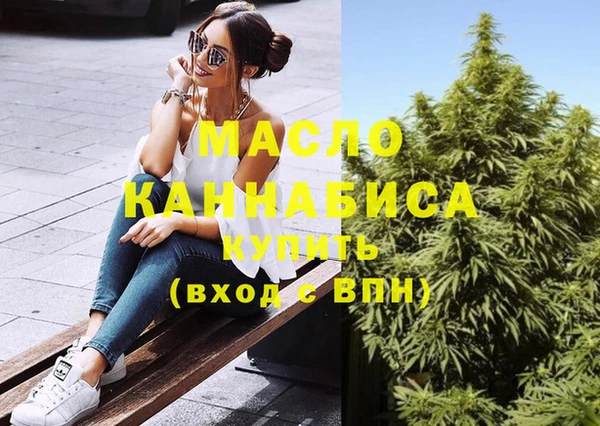 индика Гусь-Хрустальный