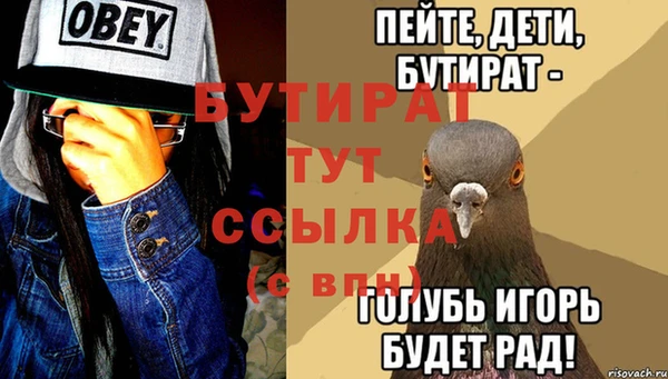 индика Гусь-Хрустальный