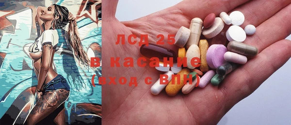 индика Гусь-Хрустальный
