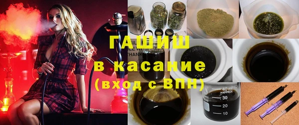 индика Гусь-Хрустальный