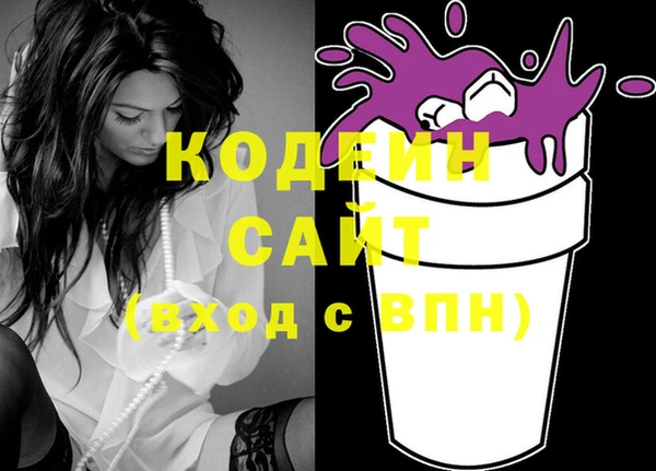 индика Гусь-Хрустальный