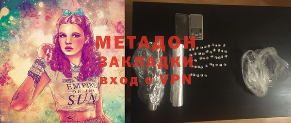 индика Гусь-Хрустальный