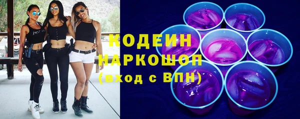 индика Гусь-Хрустальный