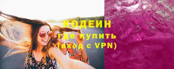 индика Гусь-Хрустальный