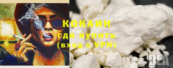 индика Гусь-Хрустальный