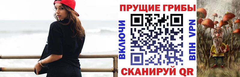 blacksprut ССЫЛКА  Давлеканово  Галлюциногенные грибы MAGIC MUSHROOMS 