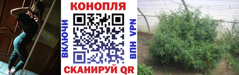 МАРИХУАНА гибрид  omg   Давлеканово  закладки 